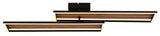 Plafoniera DAKARI I 67358D