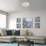 Plafoniera Damien 5540 Lucente - Home & Lighting