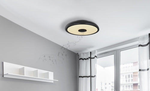 Plafoniera RAFFY 41366B Lucente - Home & Lighting