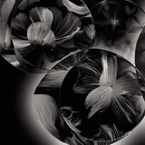 Aplica Wagashi Piccola 1720052A I Lucente - Home & Lighting