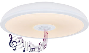 Plafoniera RAFFY 41366W Lucente - Home & Lighting