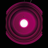 Lustra Supernova Xl 102007Sp7 66 Lucente - Home & Lighting
