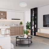 Plafoniera BRUCE 2117