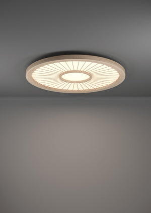 Plafoniera DEHESA 390296