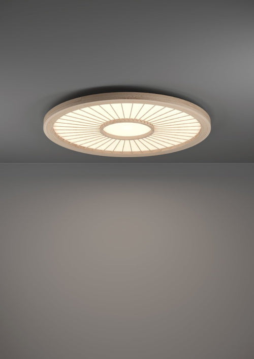 Plafoniera DEHESA 390296