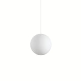 Lustra Carta Sp1 D30 226026 Lucente - Home & Lighting