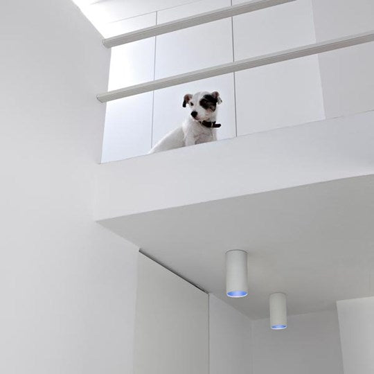 Spot Aplicat KAP Surface Ceiling 03.4522.11 Lucente - Home & Lighting