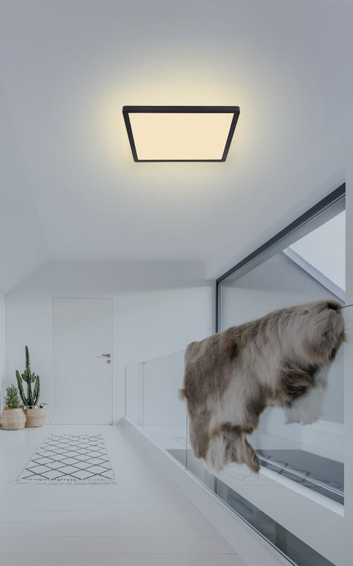 Plafoniera SAPANA 41563-18B Lucente - Home & Lighting