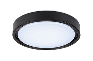 Plafoniera FOSTER 3283