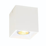 Spot Aplicat DICE 4144100