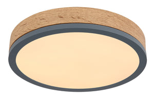 Plafoniera DORO 416080WD1R