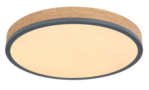 Plafoniera DORO 416080WD2R