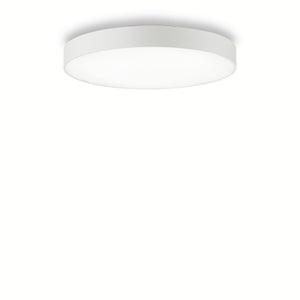 Plafoniera Aplicata Halo Pl1 D45 3000K 223209 Lucente - Home & Lighting