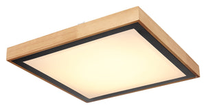 Plafoniera BRUNO 41764-24Q