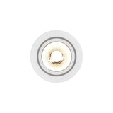 Spot Incastrat ALEC DOWNLIGHT 2110350101
