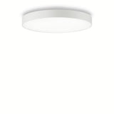 Plafoniera Aplicata Halo Pl1 D60 4000K 223230 Lucente - Home & Lighting