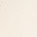 Plafoniera FAKIR STARRY G96970/75