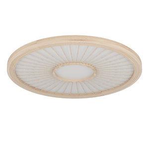 Plafoniera DEHESA 390296