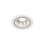 Spot Incastrat ALEC DOWNLIGHT 2110350101