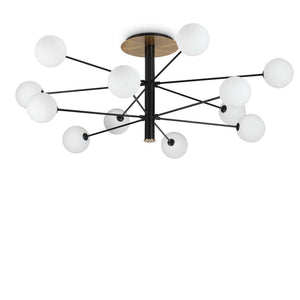 Lustra COSMOPOLITAN PL12 NERO OTTONE 273709 Lucente - Home & Lighting