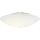 Plafoniera STANDARD 25326001