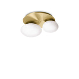 Plafoniera NINFEA PL2 OTTONE 293653