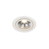 Spot Incastrat ALEC DOWNLIGHT 2110350101