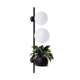 Aplica PLANT 5002