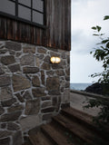 Aplica HELFORD 49031035