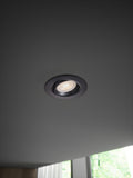 Spot Incastrat ROAR DOWNLIGHT 84960003