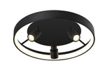 Plafoniera DENIS 4250700