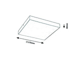 Plafoniera TARTU 7895 Lucente - Home & Lighting