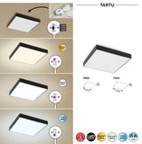 Plafoniera TARTU 7899 Lucente - Home & Lighting
