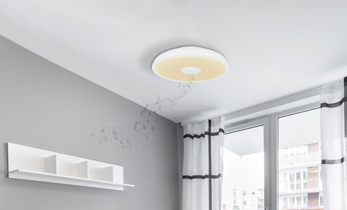 Plafoniera RAFFY 41366W Lucente - Home & Lighting
