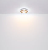 Plafoniera CLAY 41767R